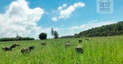Fezenda de Búfula da Campina 298,63 hectares em Santana do Itararé – PR Fezenda de Búfula da Campina 298,63 hectares em Santana do Itararé – PR