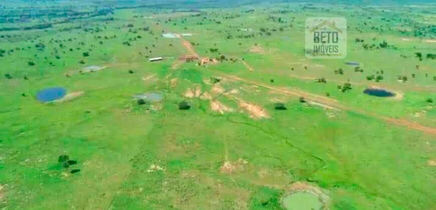 Fazenda à Venda, 1.800 Alqueires em Alvorada do Norte – GO
