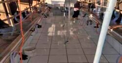 Fezenda de Búfula da Campina 298,63 hectares em Santana do Itararé – PR Fezenda de Búfula da Campina 298,63 hectares em Santana do Itararé – PR