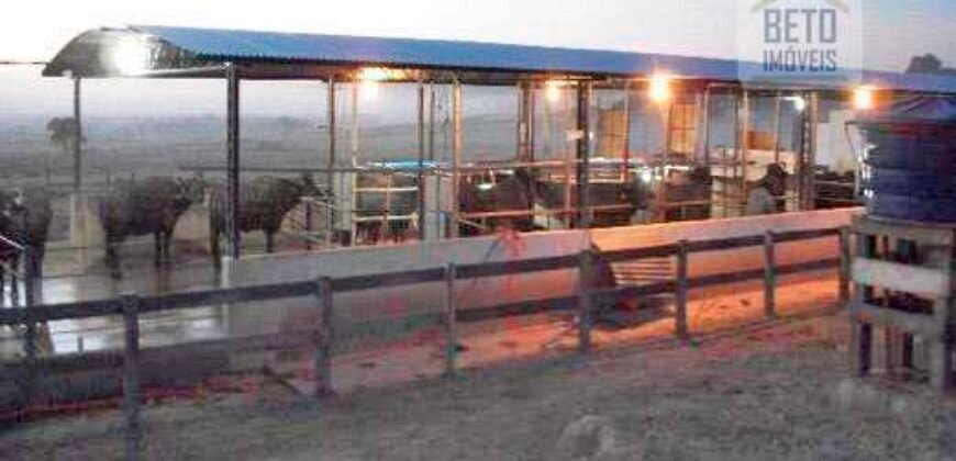 Fezenda de Búfula da Campina 298,63 hectares em Santana do Itararé – PR Fezenda de Búfula da Campina 298,63 hectares em Santana do Itararé – PR