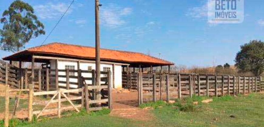 Fezenda de Búfula da Campina 298,63 hectares em Santana do Itararé – PR Fezenda de Búfula da Campina 298,63 hectares em Santana do Itararé – PR