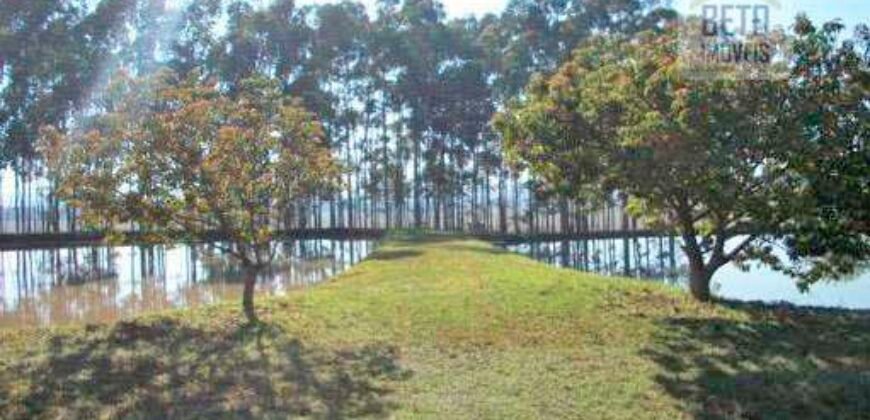 Fezenda de Búfula da Campina 298,63 hectares em Santana do Itararé – PR Fezenda de Búfula da Campina 298,63 hectares em Santana do Itararé – PR