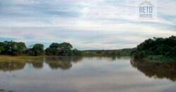 Fezenda de Búfula da Campina 298,63 hectares em Santana do Itararé – PR Fezenda de Búfula da Campina 298,63 hectares em Santana do Itararé – PR