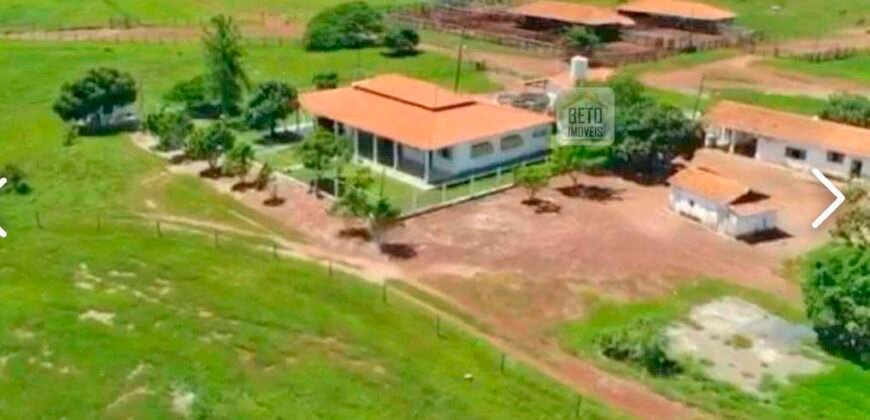 Fazenda à Venda, 1.800 Alqueires em Alvorada do Norte – GO