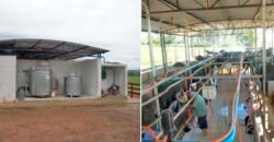 Fezenda de Búfula da Campina 298,63 hectares em Santana do Itararé – PR Fezenda de Búfula da Campina 298,63 hectares em Santana do Itararé – PR