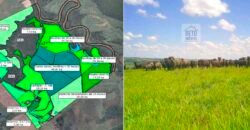 Fezenda de Búfula da Campina 298,63 hectares em Santana do Itararé – PR Fezenda de Búfula da Campina 298,63 hectares em Santana do Itararé – PR