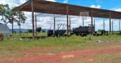 Fazenda à Venda, 1.800 Alqueires em Alvorada do Norte – GO