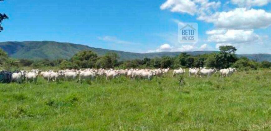 Fazenda à Venda, 1.800 Alqueires em Alvorada do Norte – GO