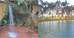 Fezenda de Búfula da Campina 298,63 hectares em Santana do Itararé – PR Fezenda de Búfula da Campina 298,63 hectares em Santana do Itararé – PR