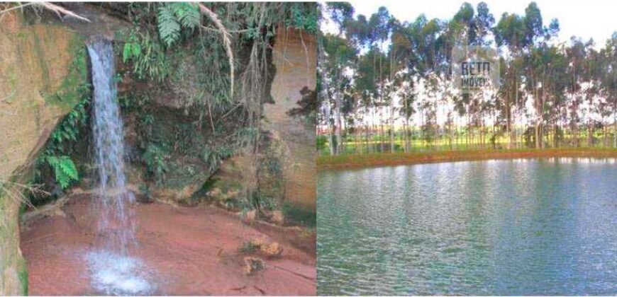 Fezenda de Búfula da Campina 298,63 hectares em Santana do Itararé – PR Fezenda de Búfula da Campina 298,63 hectares em Santana do Itararé – PR