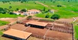 Fazenda à Venda, 1.800 Alqueires em Alvorada do Norte – GO