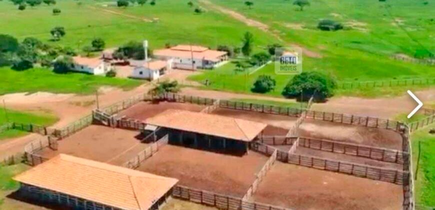 Fazenda à Venda, 1.800 Alqueires em Alvorada do Norte – GO