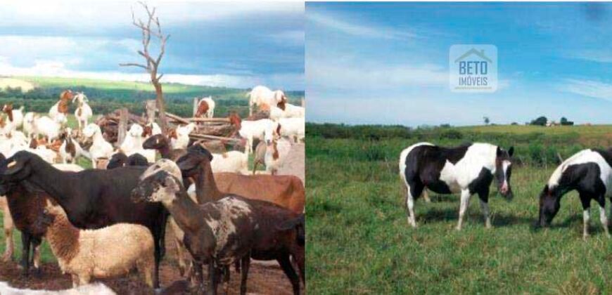 Fezenda de Búfula da Campina 298,63 hectares em Santana do Itararé – PR Fezenda de Búfula da Campina 298,63 hectares em Santana do Itararé – PR