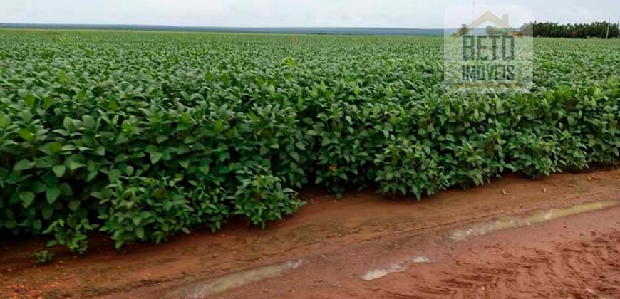 Fazenda com 21750 hectares em São Félix de Balsas – MA
