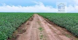 Fazenda com 21750 hectares em São Félix de Balsas – MA