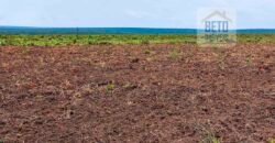 Fazenda com 21750 hectares em São Félix de Balsas – MA
