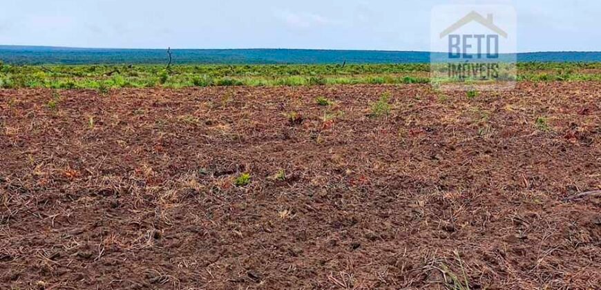 Fazenda com 21750 hectares em São Félix de Balsas – MA