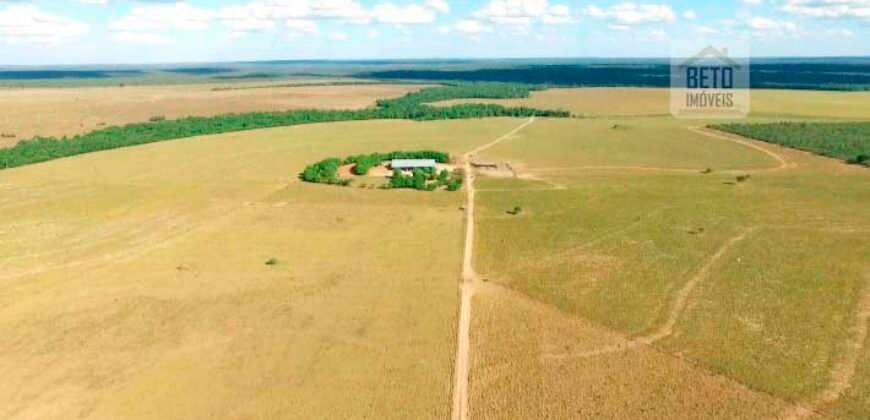 Fazenda em Presidente Kenedy – TO com 3.5843.584 alqueires