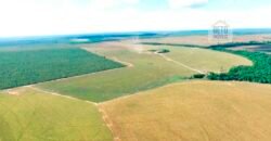 Fazenda em Presidente Kenedy – TO com 3.5843.584 alqueires
