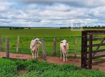 Fazenda em Presidente Kenedy – TO com 3.5843.584 alqueires Fazenda em Presidente Kenedy – TO com 3.5843.584 alqueires