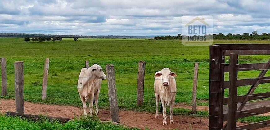 Fazenda em Presidente Kenedy – TO com 3.5843.584 alqueires