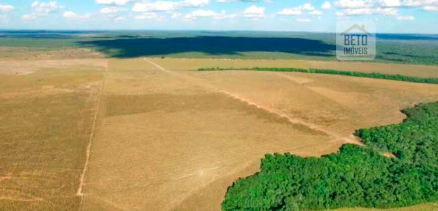 Fazenda em Presidente Kenedy – TO com 3.5843.584 alqueires