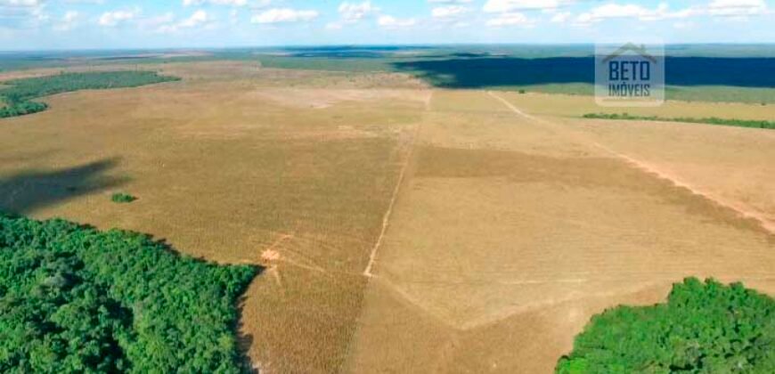 Fazenda em Presidente Kenedy – TO com 3.5843.584 alqueires
