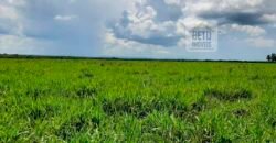 Fazenda em Presidente Kenedy – TO com 3.5843.584 alqueires