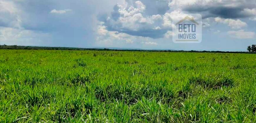 Fazenda em Presidente Kenedy – TO com 3.5843.584 alqueires