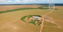 Fazenda em Presidente Kenedy – TO com 3.5843.584 alqueires