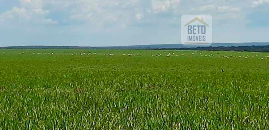 Fazenda em Presidente Kenedy – TO com 3.5843.584 alqueires