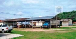 Fazenda para venda tem 21.110 Hectares – Nova Mutum – MT Fazenda para venda tem 21.110 Hectares – Nova Mutum – MT