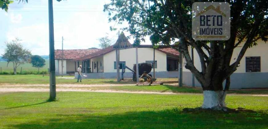 Fazenda para venda tem 21.110 Hectares – Nova Mutum – MT Fazenda para venda tem 21.110 Hectares – Nova Mutum – MT