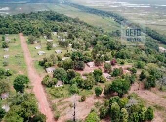 Fazenda com 20.000 Hectares em Almeirim – Pará Fazenda com 20.000 Hectares em Almeirim – Pará