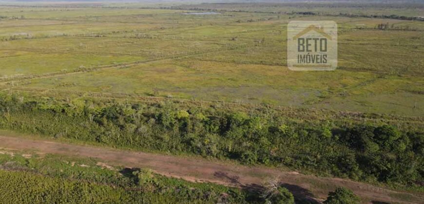 Fazenda com 20.000 Hectares em Almeirim – Pará