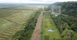 Fazenda com 20.000 Hectares em Almeirim – Pará