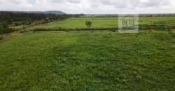 Fazenda com 20.000 Hectares em Almeirim – Pará
