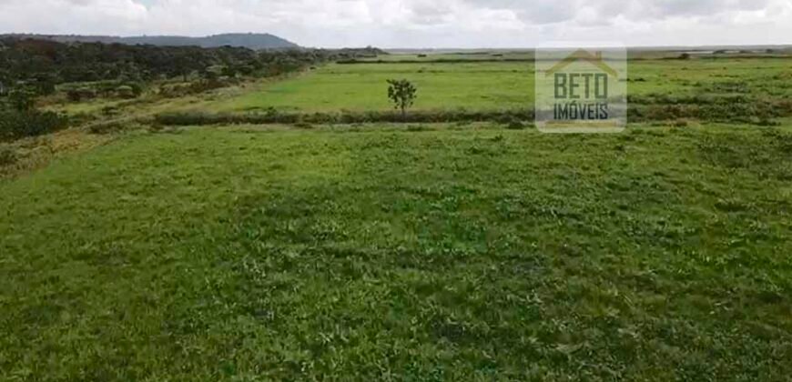 Fazenda com 20.000 Hectares em Almeirim – Pará