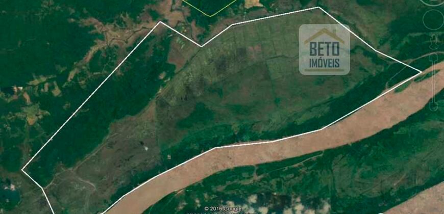 Fazenda com 20.000 Hectares em Almeirim – Pará