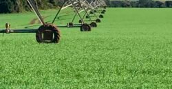 Excelente Fazenda a venda, 934 Alqueires em Paranapanema-SP Excelente Fazenda a venda, 934 Alqueires em Paranapanema-SP