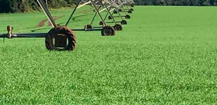 Excelente Fazenda a venda, 934 Alqueires em Paranapanema-SP Excelente Fazenda a venda, 934 Alqueires em Paranapanema-SP