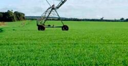 Excelente Fazenda a venda, 934 Alqueires em Paranapanema-SP Excelente Fazenda a venda, 934 Alqueires em Paranapanema-SP