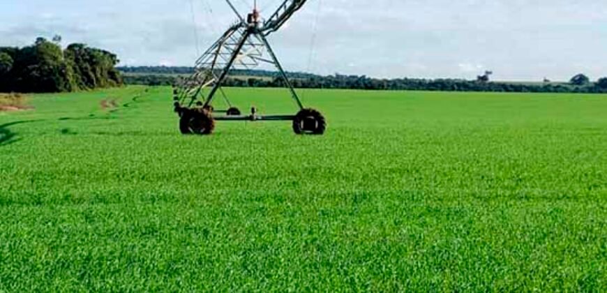 Excelente Fazenda a venda, 934 Alqueires em Paranapanema-SP Excelente Fazenda a venda, 934 Alqueires em Paranapanema-SP