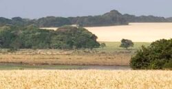Excelente Fazenda a venda, 934 Alqueires em Paranapanema-SP Excelente Fazenda a venda, 934 Alqueires em Paranapanema-SP