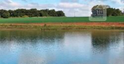 Excelente Fazenda a venda, 934 Alqueires em Paranapanema-SP Excelente Fazenda a venda, 934 Alqueires em Paranapanema-SP