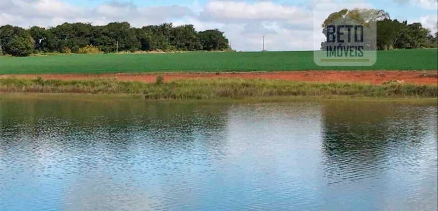 Excelente Fazenda a venda, 934 Alqueires em Paranapanema-SP Excelente Fazenda a venda, 934 Alqueires em Paranapanema-SP