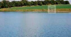 Excelente Fazenda a venda, 934 Alqueires em Paranapanema-SP Excelente Fazenda a venda, 934 Alqueires em Paranapanema-SP