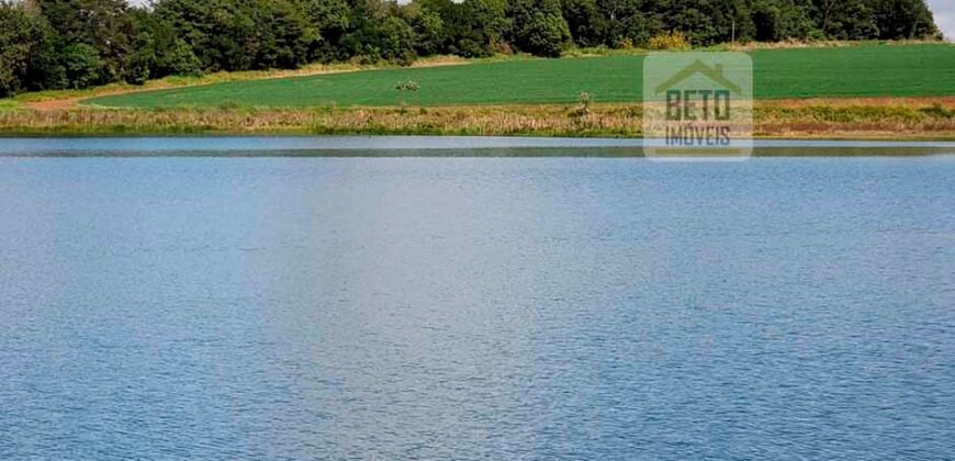 Excelente Fazenda a venda, 934 Alqueires em Paranapanema-SP Excelente Fazenda a venda, 934 Alqueires em Paranapanema-SP