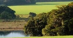 Excelente Fazenda a venda, 934 Alqueires em Paranapanema-SP Excelente Fazenda a venda, 934 Alqueires em Paranapanema-SP