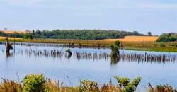 Excelente Fazenda a venda, 934 Alqueires em Paranapanema-SP Excelente Fazenda a venda, 934 Alqueires em Paranapanema-SP